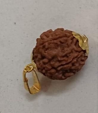 7 Mukhi Rudraksha With Cap β Authentic Sacred Bead for Spiritual Healing & Protection