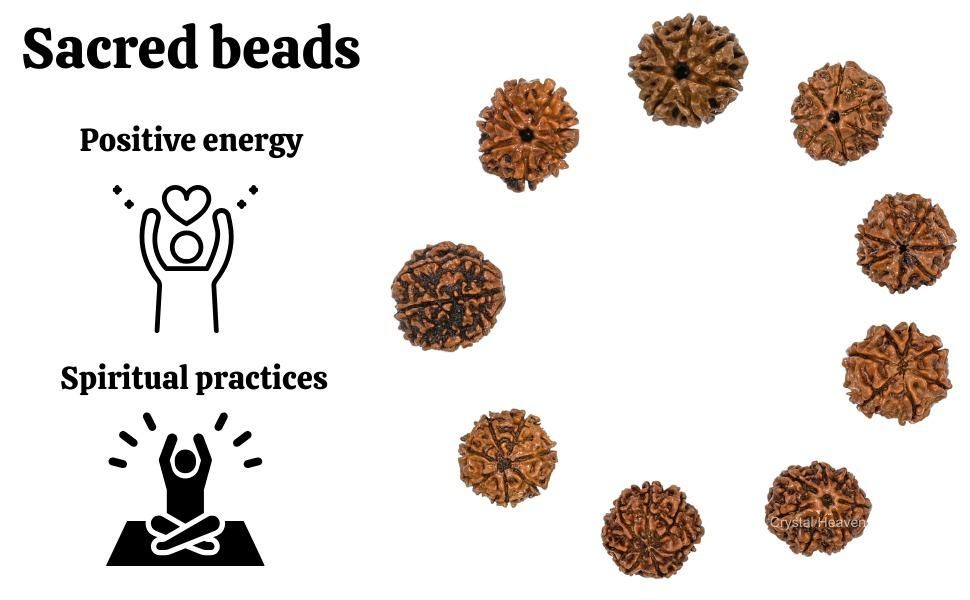 7 Mukhi Rudraksha With Cap – Authentic Sacred Bead for Spiritual Healing & Protection
